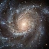 Our stars