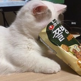 多肉葡萄