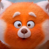 pandapanda
