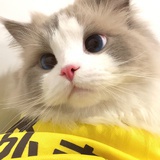 伦敦有个对角巷