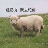 你说的对