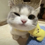如果你也想起我