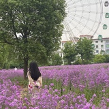 寄春先生向蓁蓁