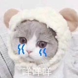 我是佩琦