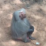 张寿喜