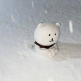 雪地白狗