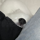 独山