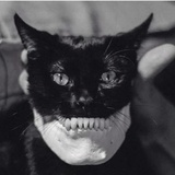AnTiHuMan