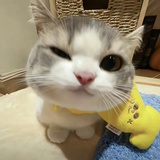 Gökotta