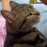 豆友191913194