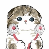 小柏_同学