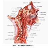 米力农