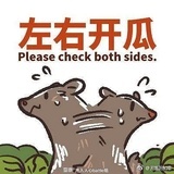 茶茶呀