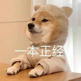 Di8bo_0813