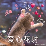 曦辰