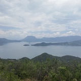 小小野