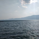 飘