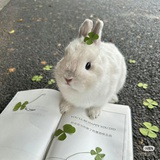 下雨天了怎么办