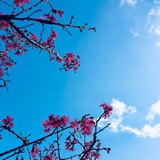 暖风冬阳