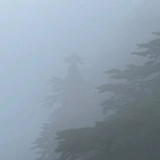 摸鱼的少年