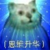 老鸽子
