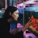 AliceWu