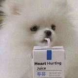 我不爱吃