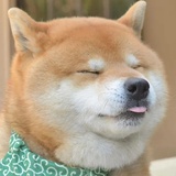 向阳