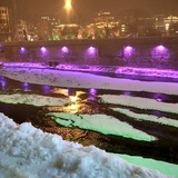 小小