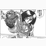 补心的猫