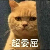 不配才绝配