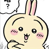 萨尔茨堡盐树枝