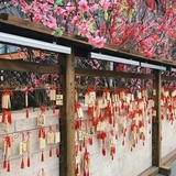 gaigai
