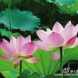 豆友192320218