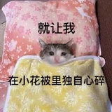 王某某o_O