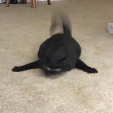 过春天