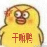 少年派