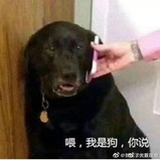 始终在路上