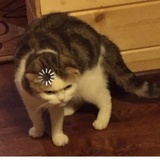 我不知道