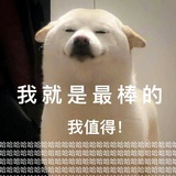 没注销