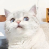 湫熹