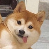 芋泥三明治
