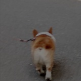 取名好难啊