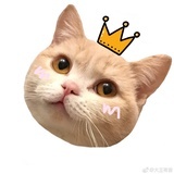 🙋聚宝盆👍