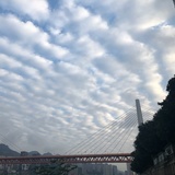 香辣鸡腿堡