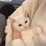 豆友192503134