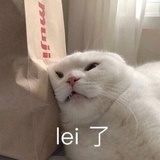+2的小可爱