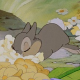 树莓柠檬冰淇淋