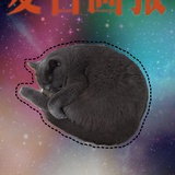 🐈