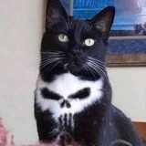 三余